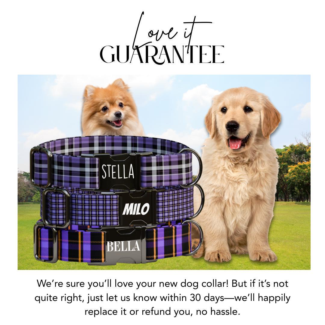 Personalized Purple Plaid Dog Collar & Leash Set