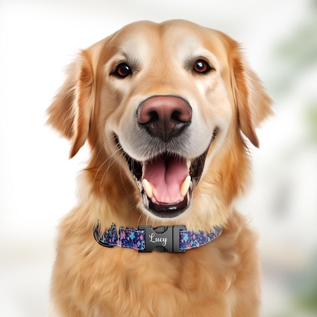Personalized Purple Floral Dog Collar & Leash Set