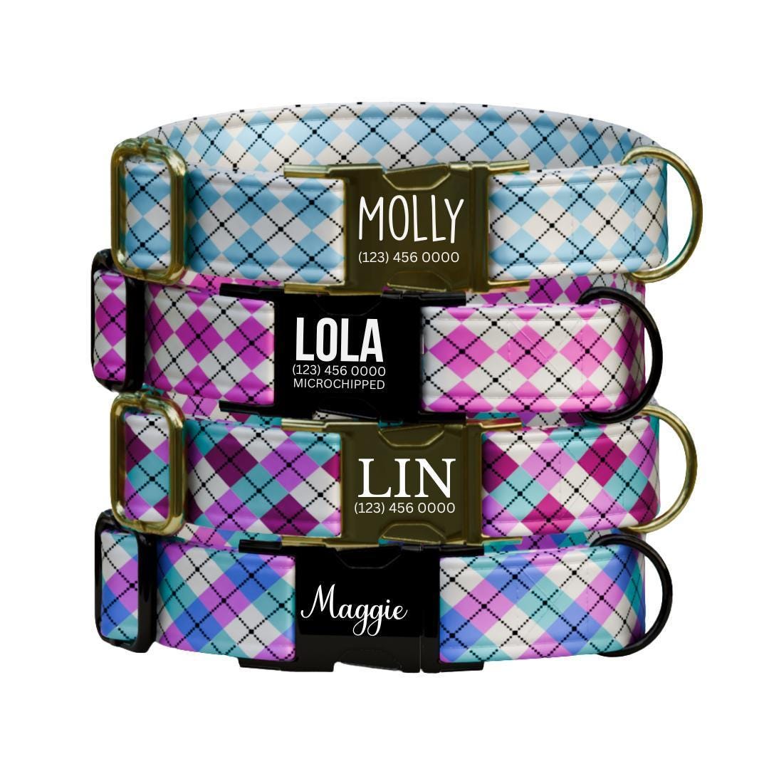 Personalized Argyle Dog Collar & Leash Set