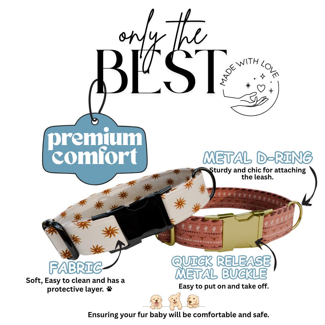 Personalized Western Dog Collar & Matching Leash Set