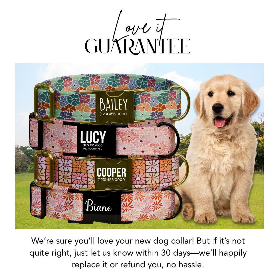 Personalized Floral Personalized Dog Collar & Leash Set