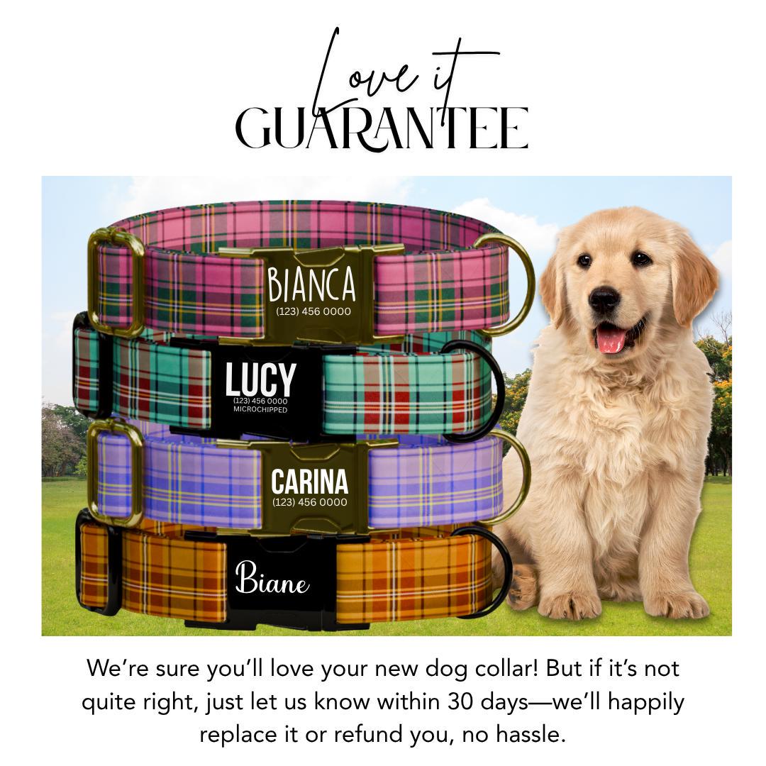 Personalized Plaid Dog Collar & Leash Set