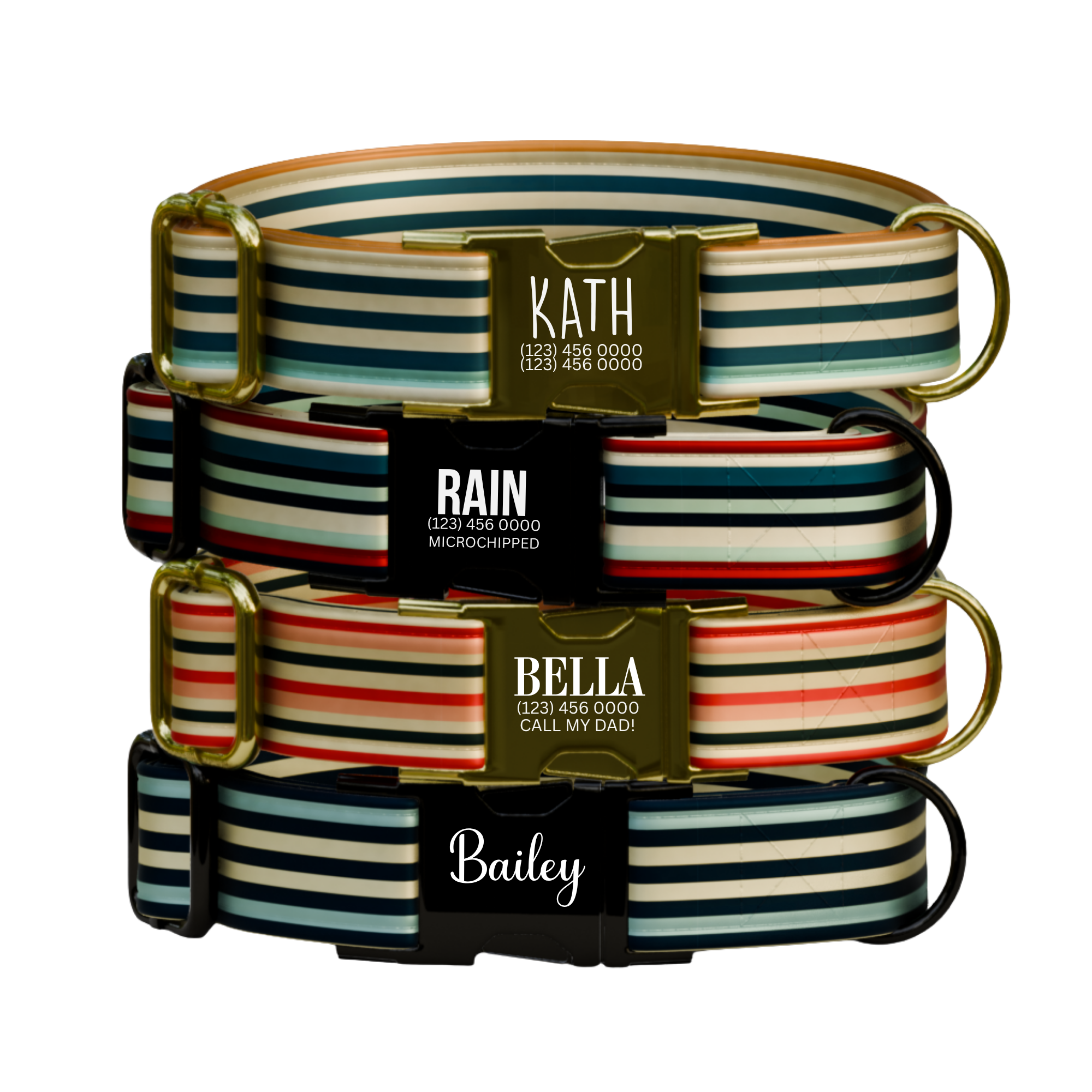Personalized Retro Stripe Personalized Dog Collar & Leash Set