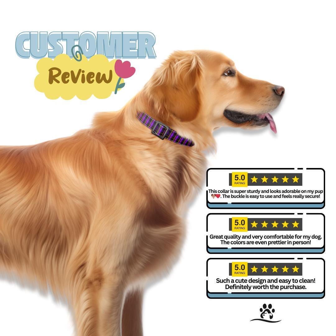 Personalized Purple Plaid Dog Collar & Leash Set