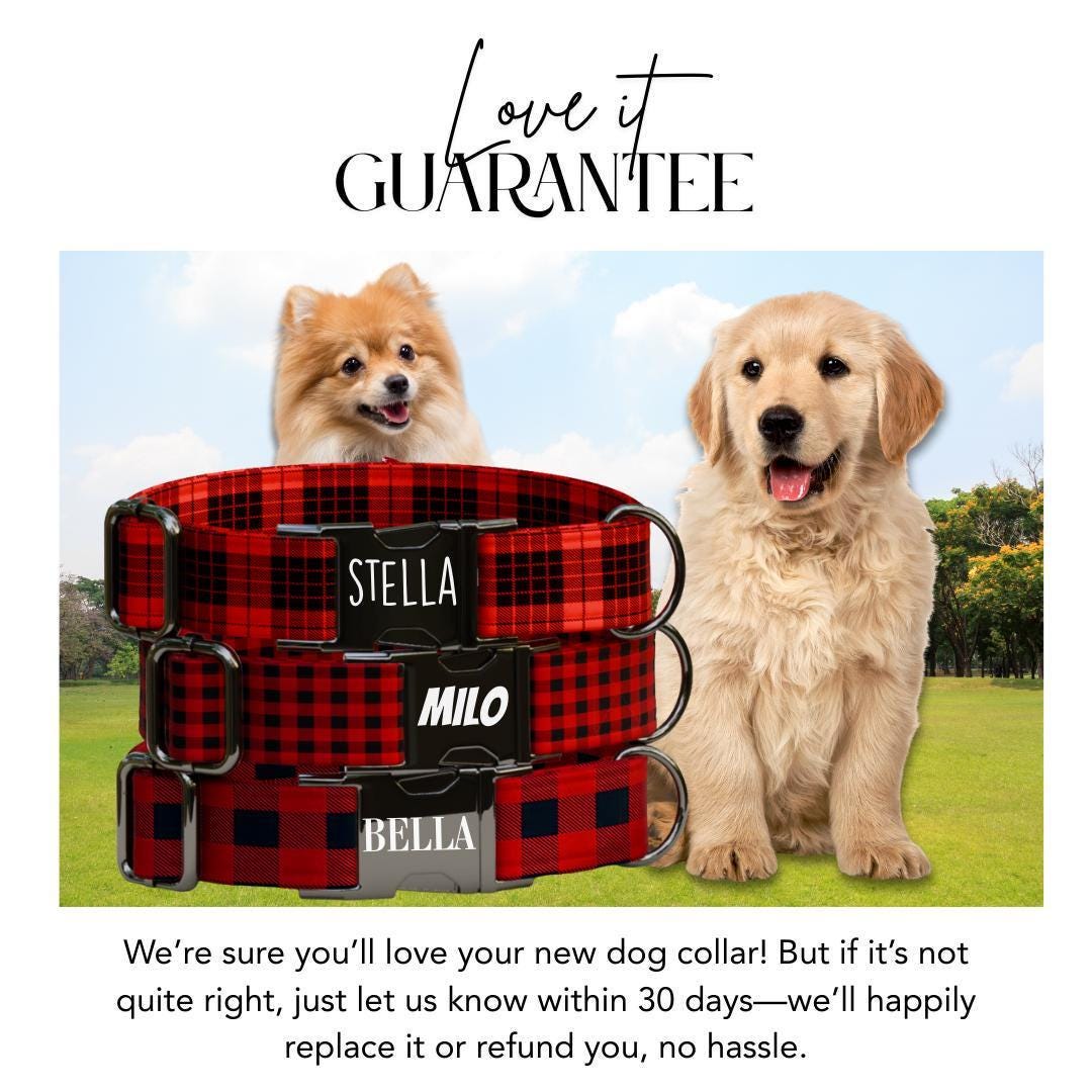 Personalized Red Plaid Dog Collar & Leash Set