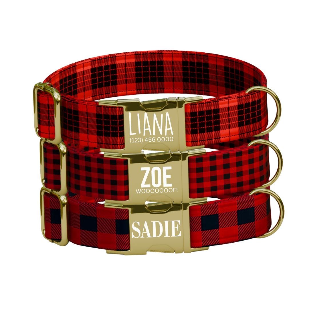 Personalized Red Plaid Dog Collar & Leash Set