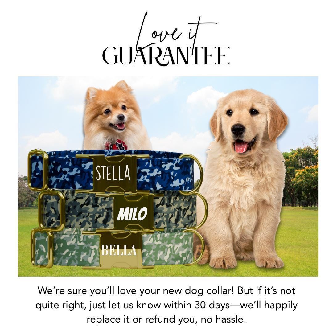 Personalized Camouflage Personalized Dog Collar & Leash Set