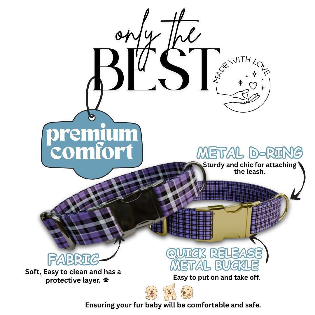 Personalized Purple Plaid Dog Collar & Leash Set