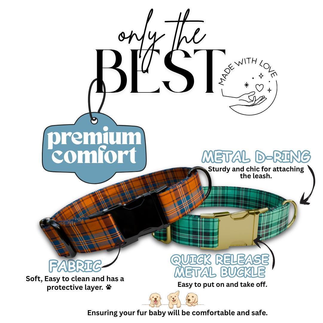 Personalized Plaid Dog Collar & Leash Set