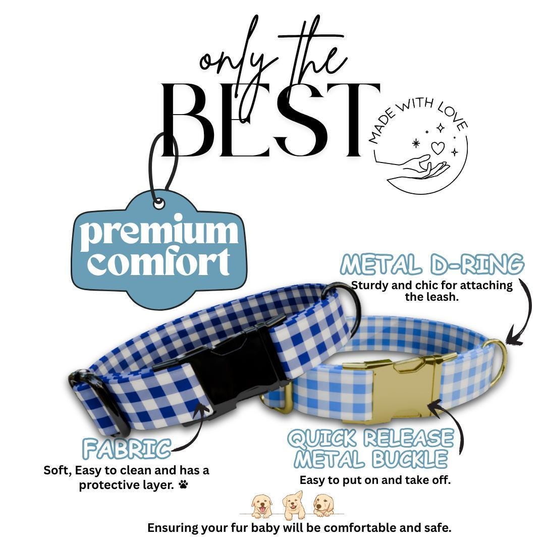 Personalized Blue Plaid Dog Collar & Leash Set