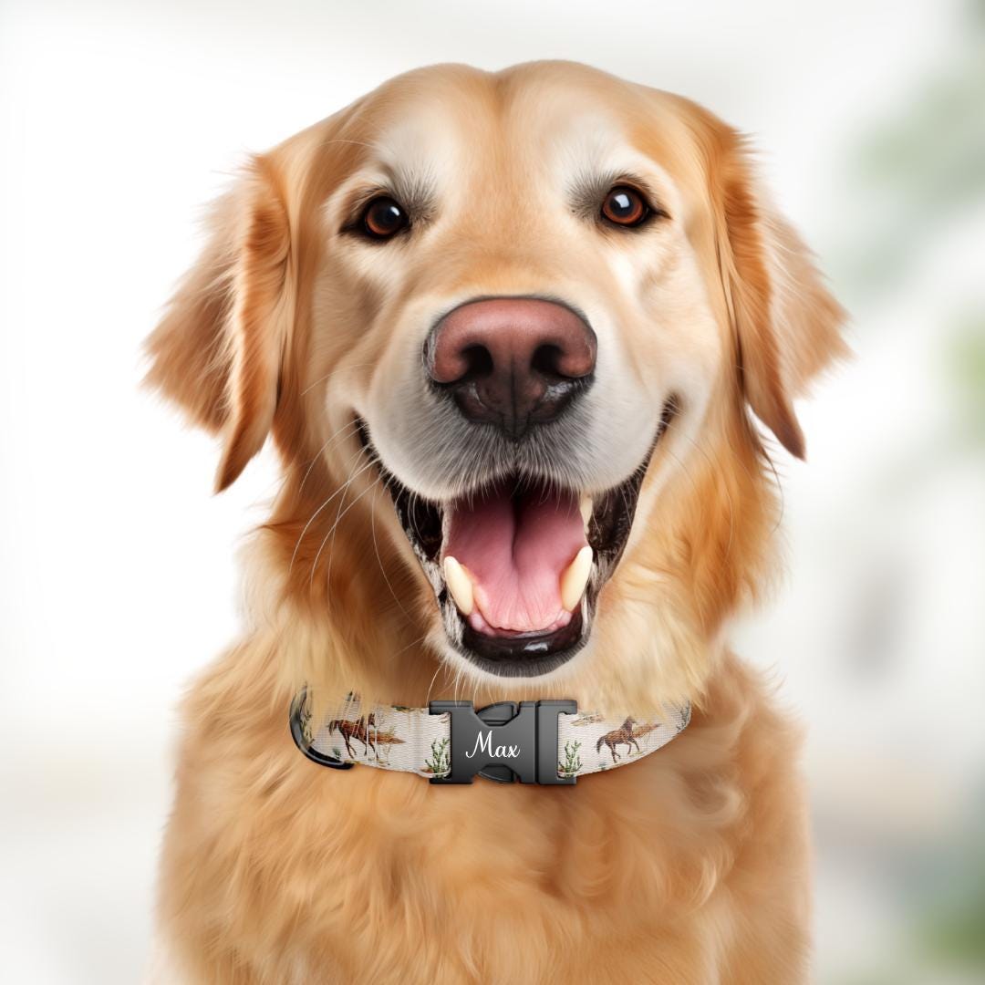 Personalized Western Dog Collar & Matching Leash Set