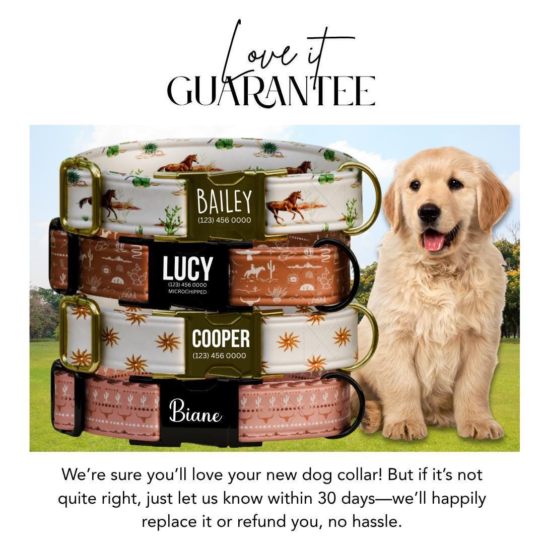 Personalized Western Dog Collar & Matching Leash Set