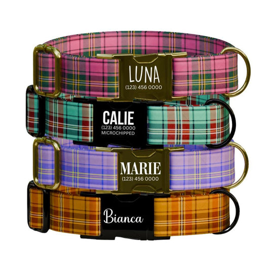 Personalized Plaid Dog Collar & Leash Set