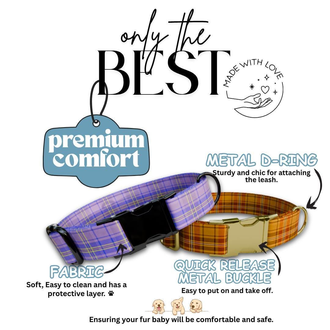 Personalized Plaid Dog Collar & Leash Set