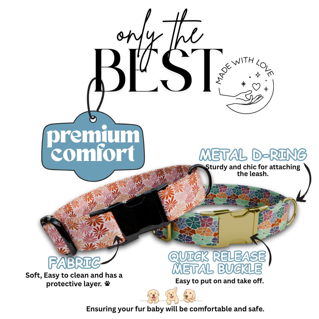 Personalized Floral Personalized Dog Collar & Leash Set