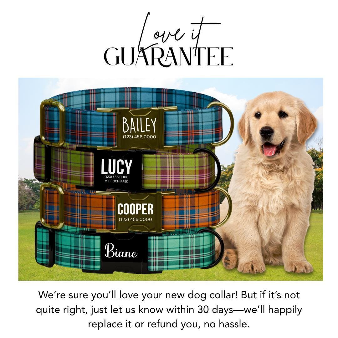 Personalized Plaid Dog Collar & Leash Set