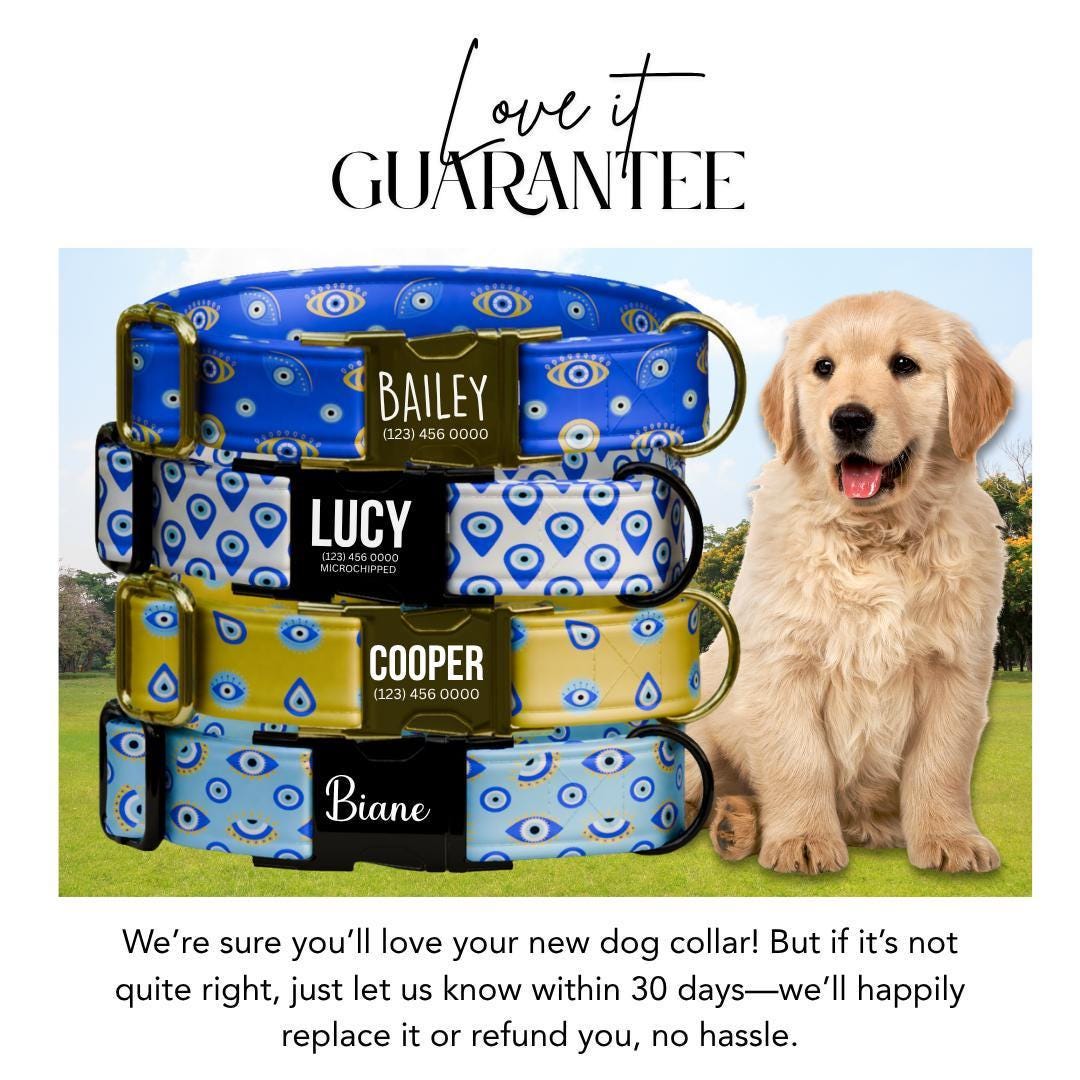 Personalized Evil Eye Dog Collar & Leash Set