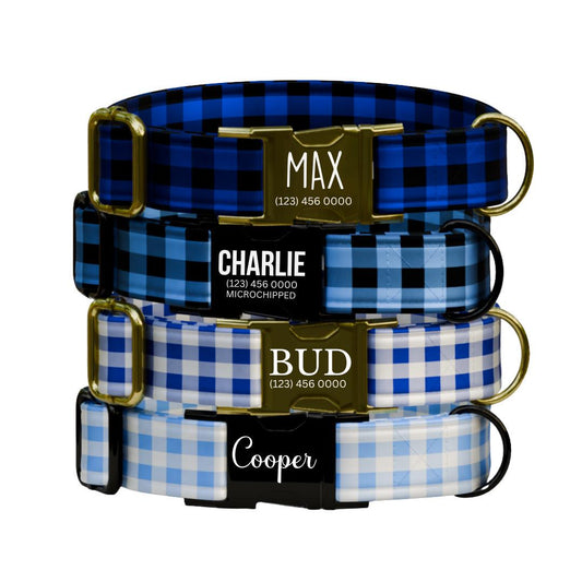 Personalized Blue Plaid Dog Collar & Leash Set