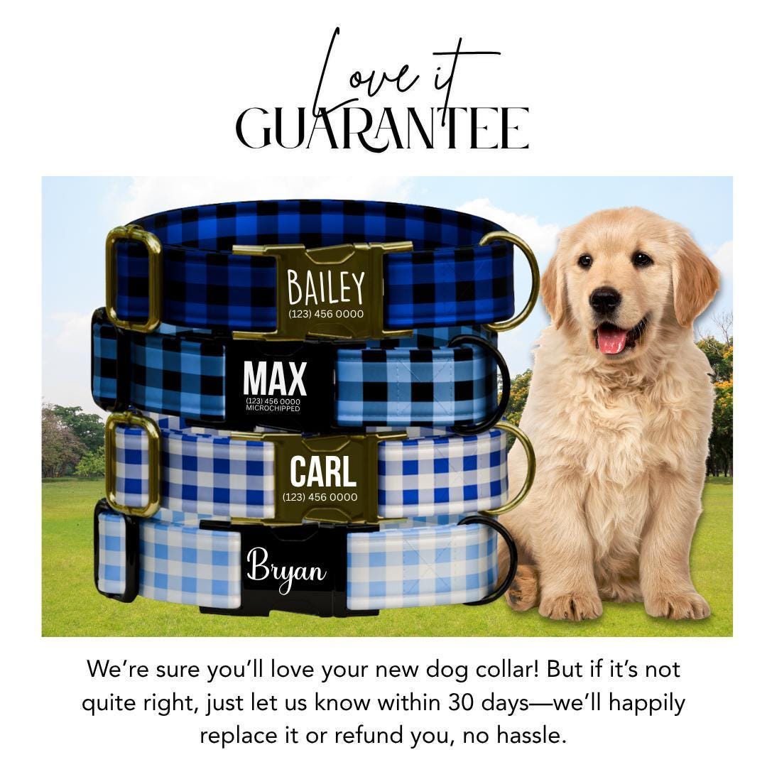 Personalized Blue Plaid Dog Collar & Leash Set