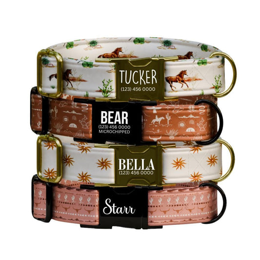 Personalized Western Dog Collar & Matching Leash Set