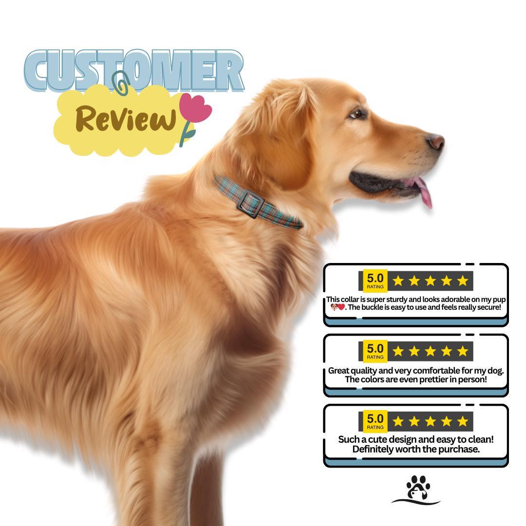 Personalized Plaid Dog Collar & Leash Set