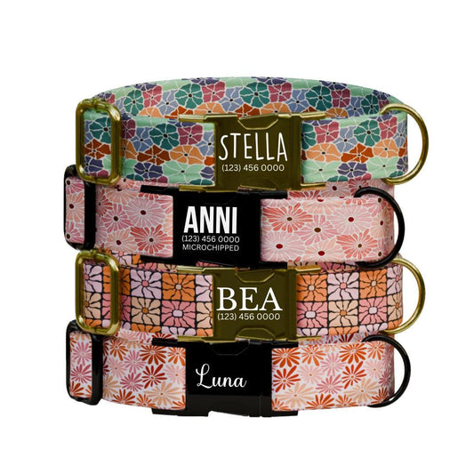 Personalized Floral Personalized Dog Collar & Leash Set