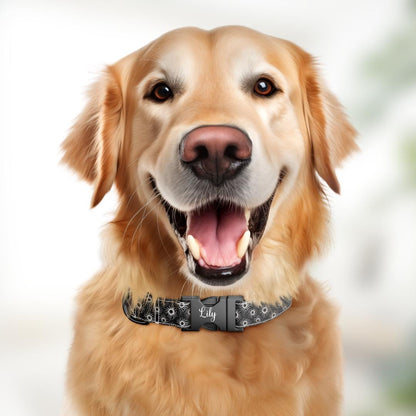 Celestial Dog Collar, Sun and Star Print, Personalized Pet Collar (OG-359)