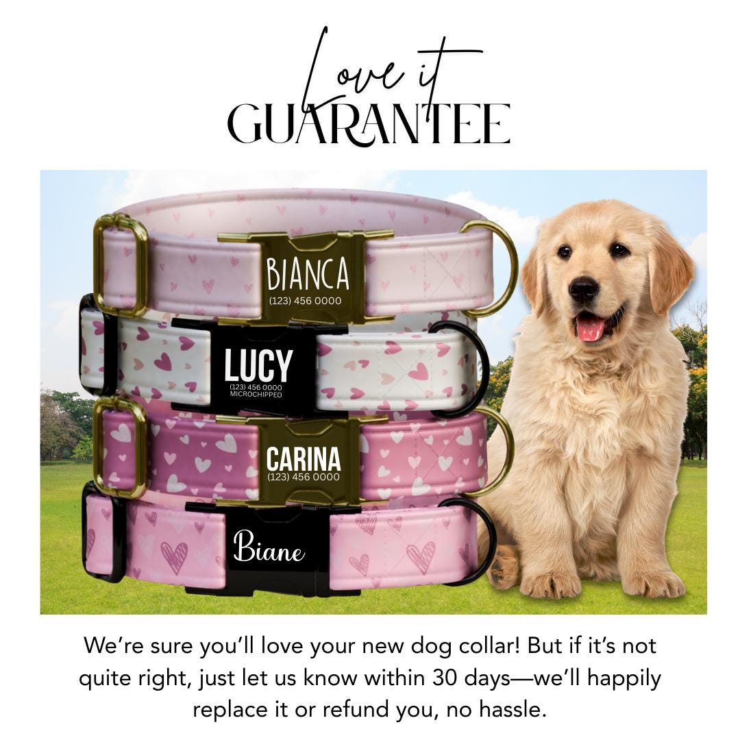 Valentine's Day Blush Hearts Personalized Dog Collar (OG-391)