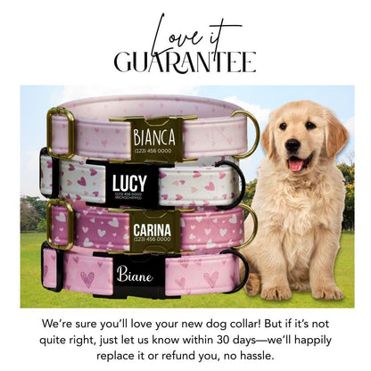 Valentine's Day Blush Hearts Personalized Dog Collar (OG-391)