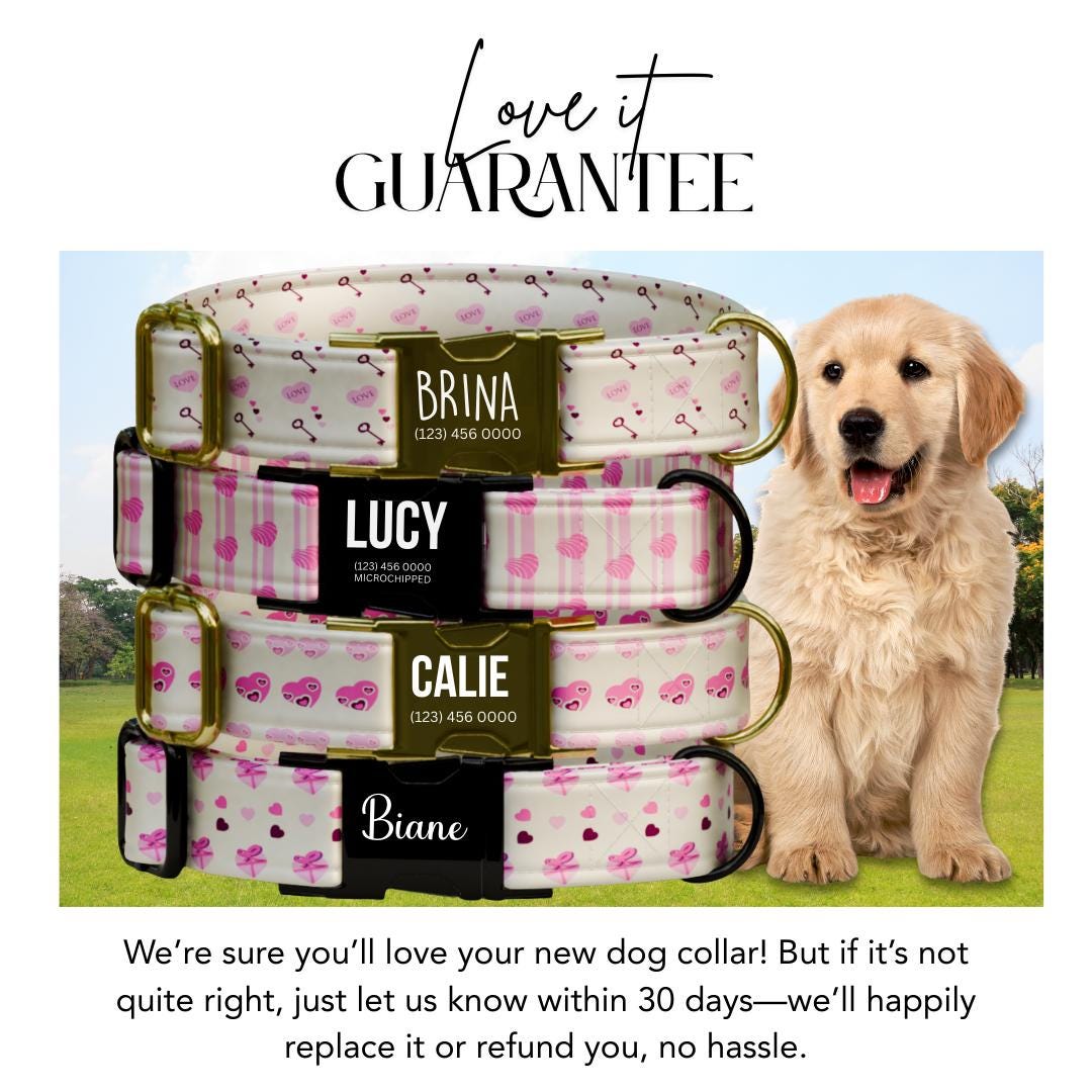 Personalized Valentine's Dog Collar, Pink Hearts, Love Keys (OG-393)