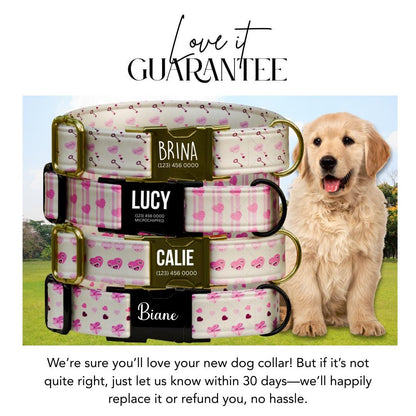 Personalized Valentine's Dog Collar, Pink Hearts, Love Keys (OG-393)