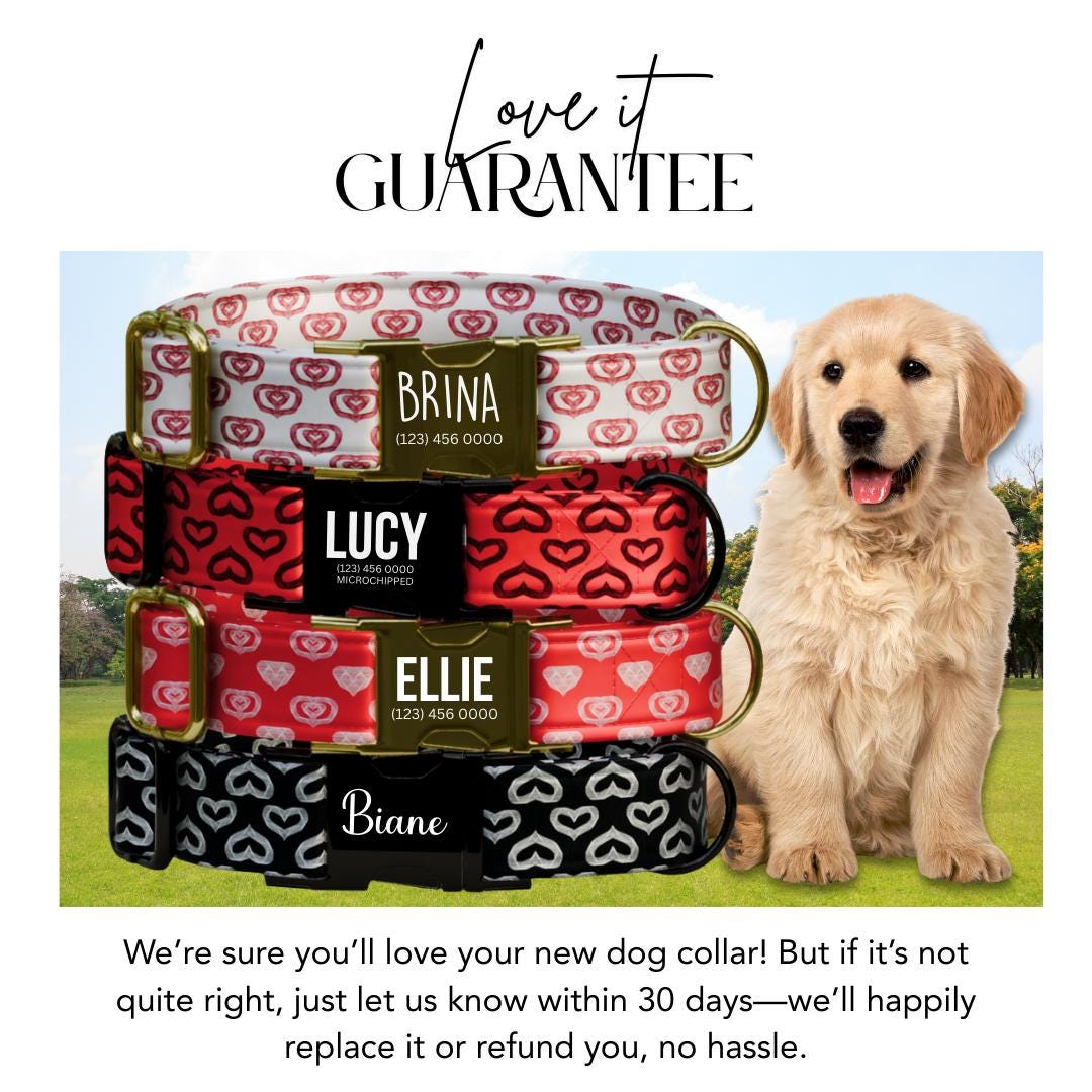 Personalized Heart Print Dog Collar, Custom Name & Number (OG-397)
