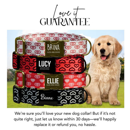 Personalized Heart Print Dog Collar, Custom Name & Number (OG-397)
