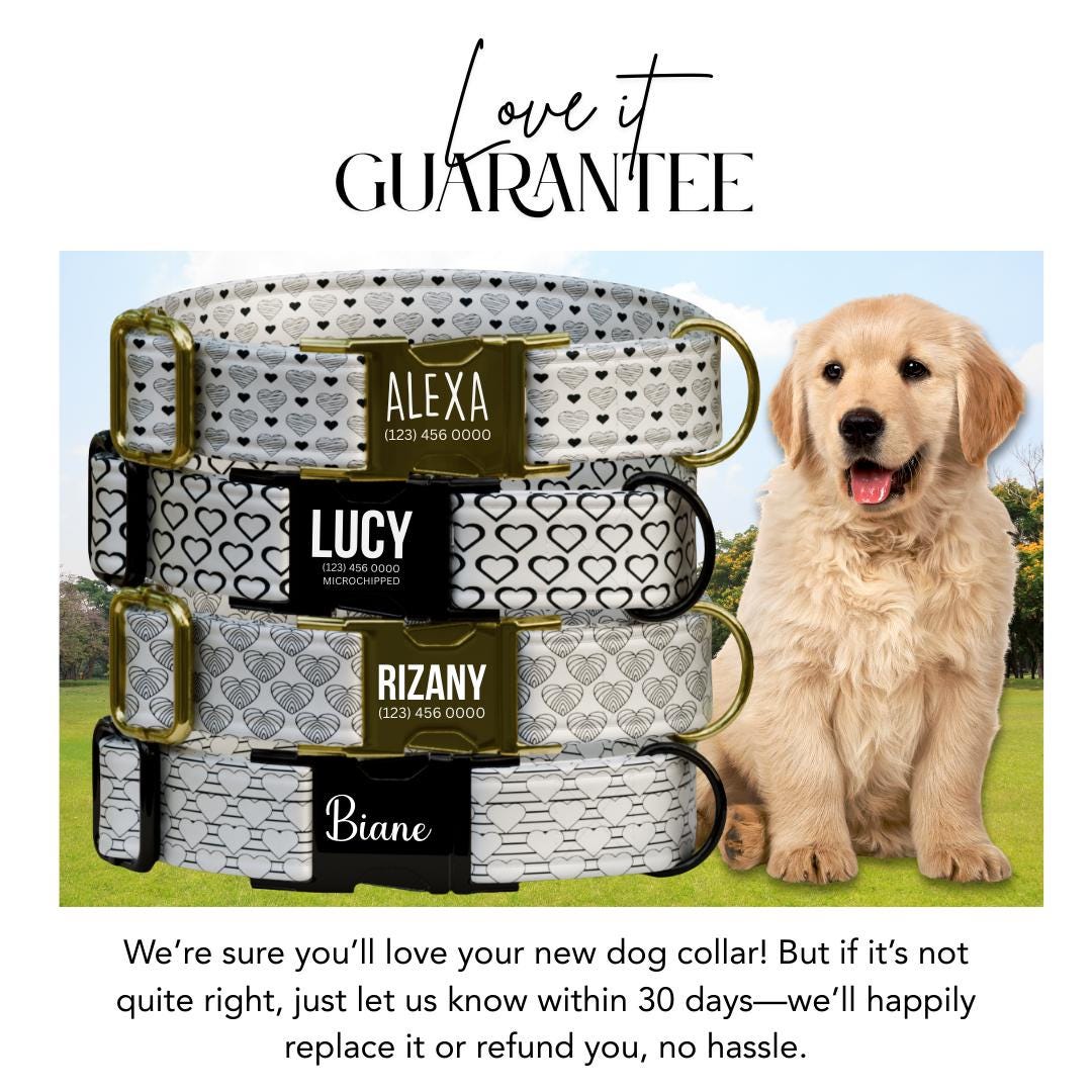 Black & White Heart Dog Collar, Minimalist Love Pattern, Custom Pet ID (OG-398)