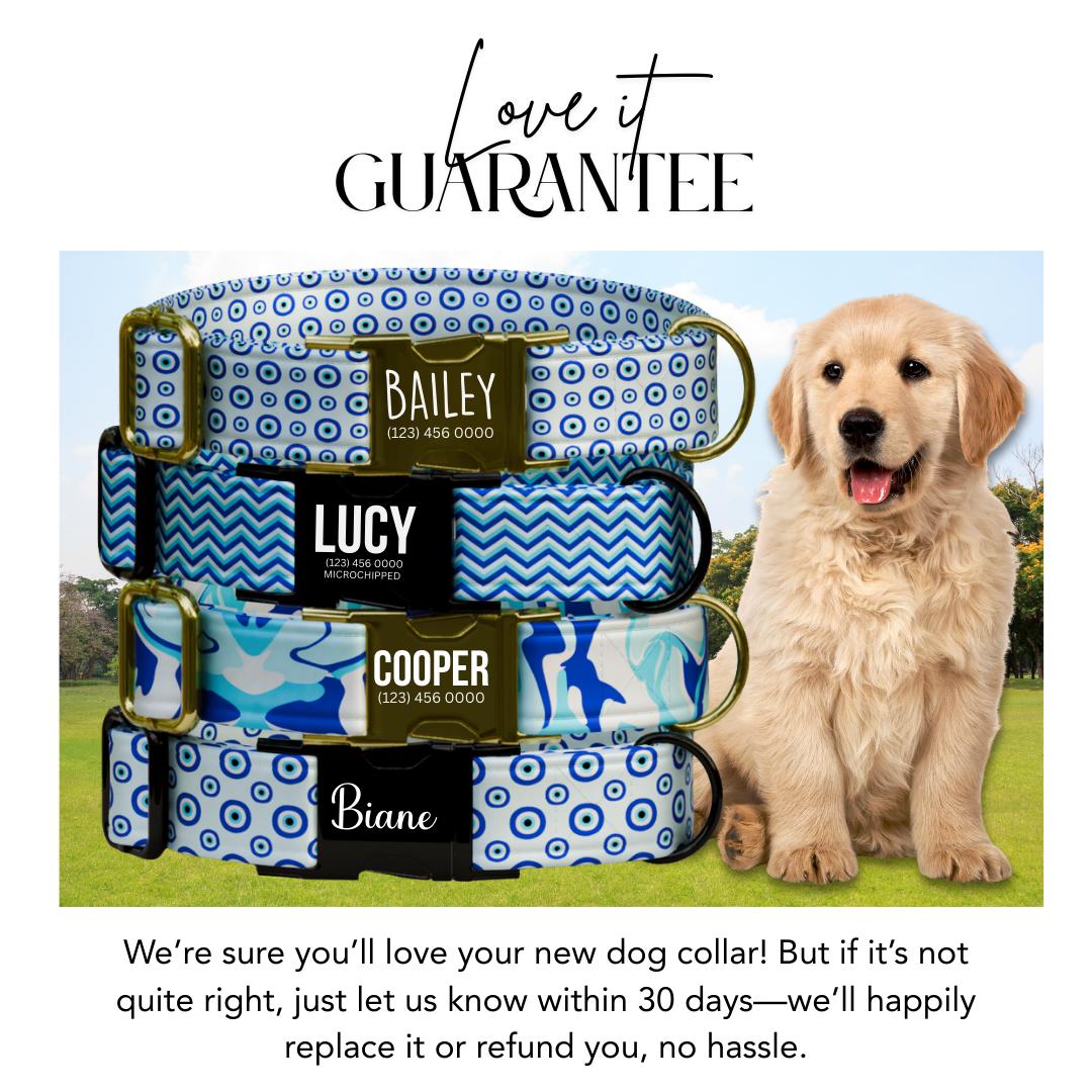 Personalized Dog Collar, Blue Evil Eye, Custom Name & Number (OG-365)