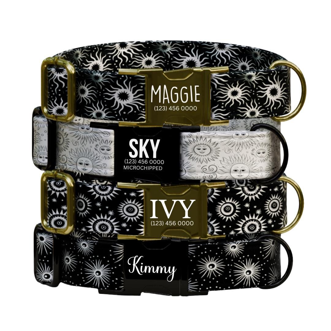 Celestial Dog Collar, Sun and Star Print, Personalized Pet Collar (OG-359)