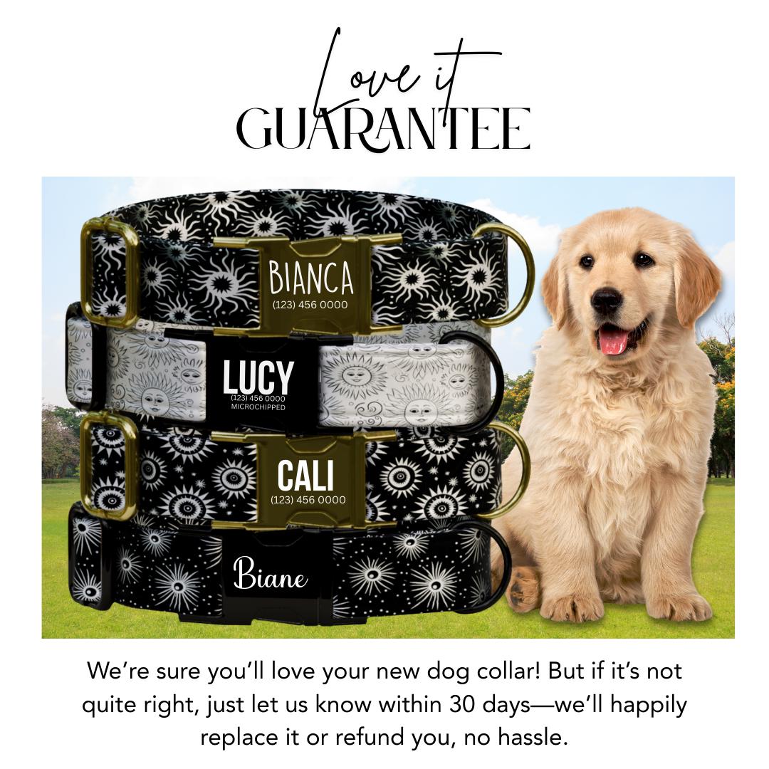 Celestial Dog Collar, Sun and Star Print, Personalized Pet Collar (OG-359)