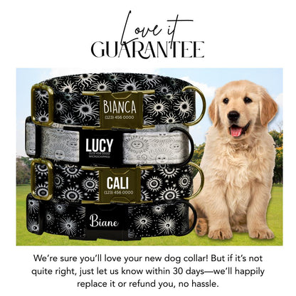 Celestial Dog Collar, Sun and Star Print, Personalized Pet Collar (OG-359)