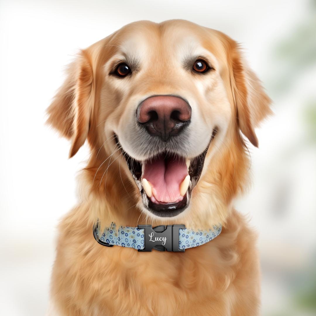 Evil Eye Blue Dog Collar  Personalized Protection and Style Custom Name & Number (OG-364)