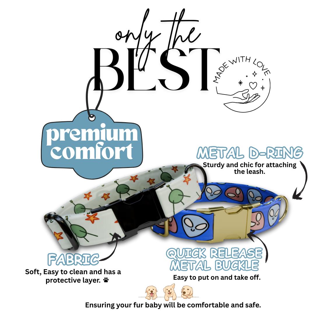 Personalized Space Pup Dog Collar  Cosmic Cuties Edition Custom Metal Buckle (OG-384)