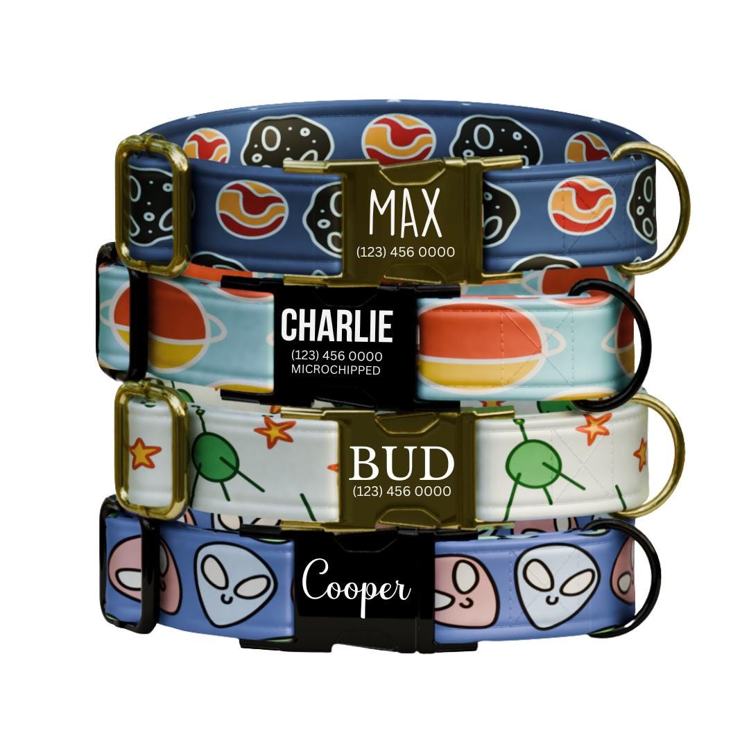 Personalized Space Pup Dog Collar  Cosmic Cuties Edition Custom Metal Buckle (OG-384)