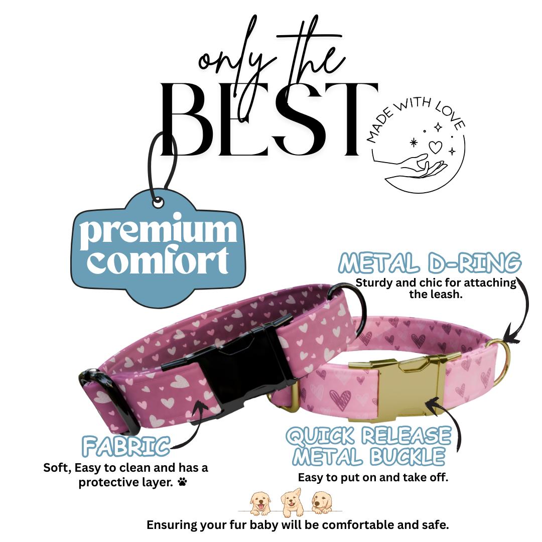 Valentine's Day Blush Hearts Personalized Dog Collar (OG-391)