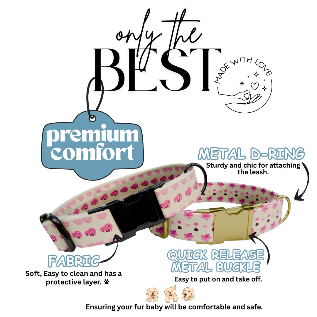 Personalized Valentine's Dog Collar, Pink Hearts, Love Keys (OG-393)