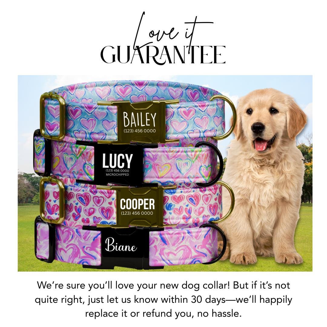 Personalized Heart Doodle Dog Collar, Custom Name Pet Collar (OG-396)