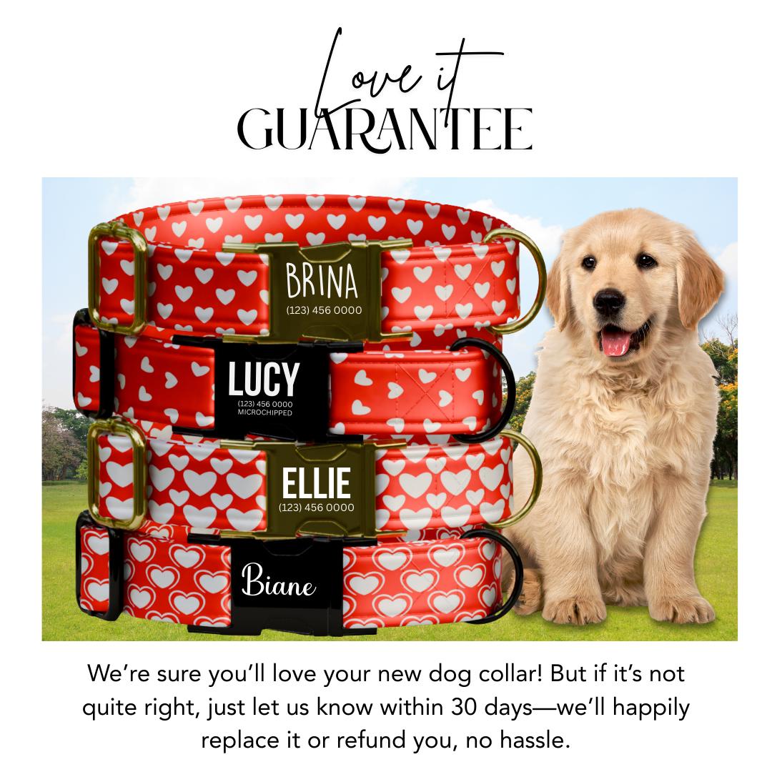 Personalized Valentine's Dog Collar  Red Hearts, Metal Buckle (OG-403)