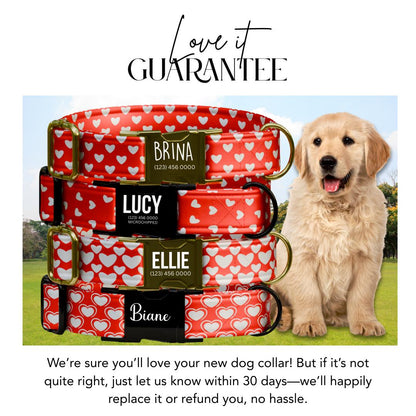 Personalized Valentine's Dog Collar  Red Hearts, Metal Buckle (OG-403)