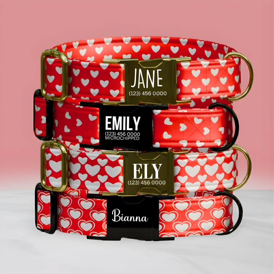 Personalized Valentine's Dog Collar  Red Hearts, Metal Buckle (OG-403)