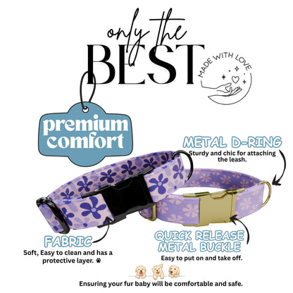 Purple Daisy Dog Collar with Leash Set - Personalized Floral Fabric (OG-415)