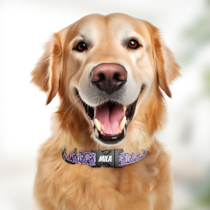 Purple Daisy Dog Collar with Leash Set - Personalized Floral Fabric (OG-415)