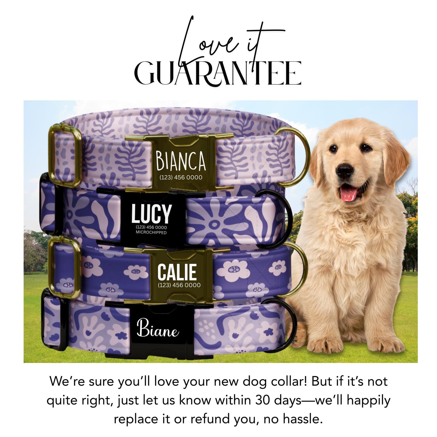 Lavender Floral Dog Collar, Personalized Engraved Fabric Collar & Leash Set (OG-416)